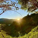 Tea Valley & Farm View At Cool Summer Cameron