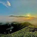 Tea Valley & Farm View At Cool Summer Cameron