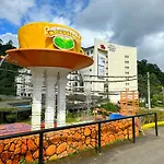 Tea Valley & Farm View At Cool Summer Cameron