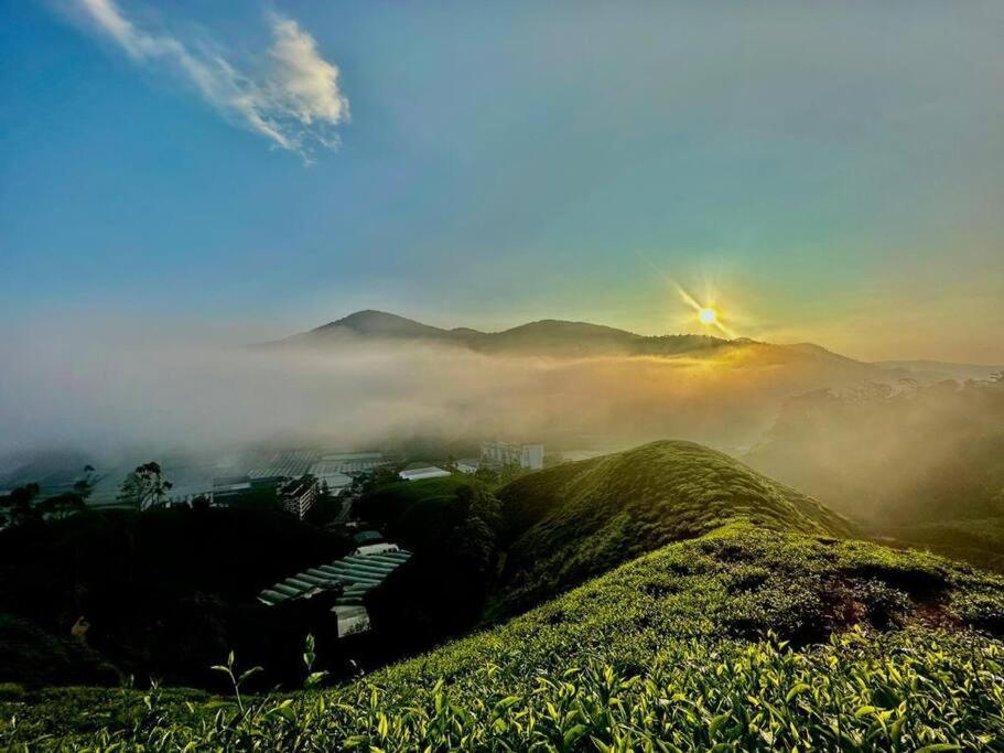 Tea Valley & Farm View At Cool Summer Cameron Pangsapuri Cameron Highlands