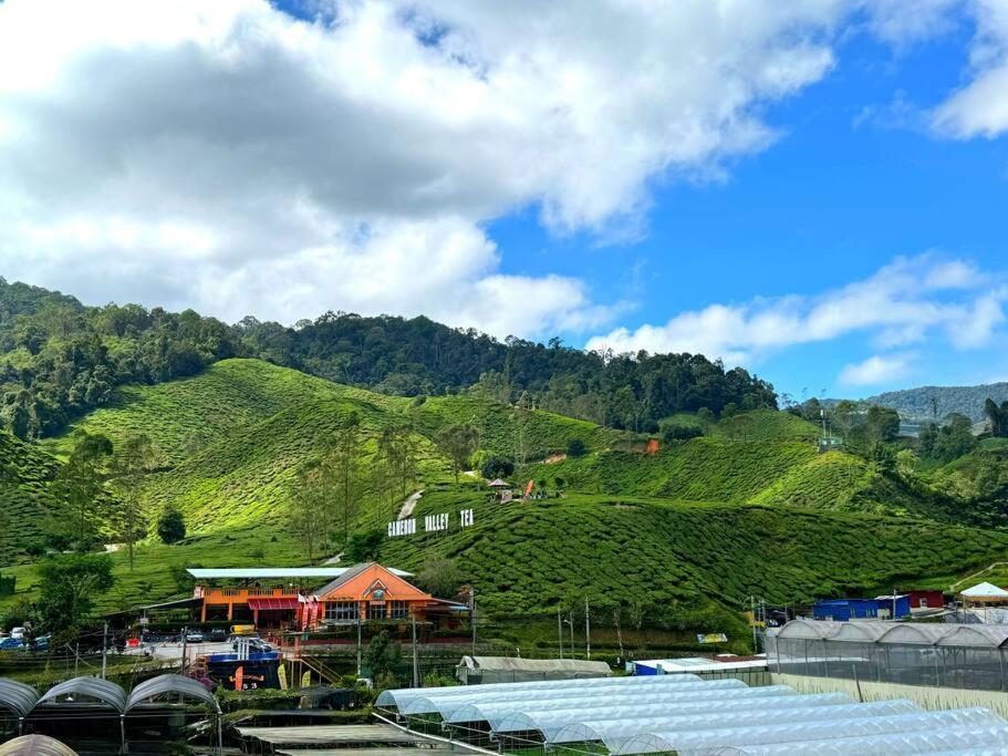 Tea Valley & Farm View At Cool Summer Cameron Pangsapuri *
