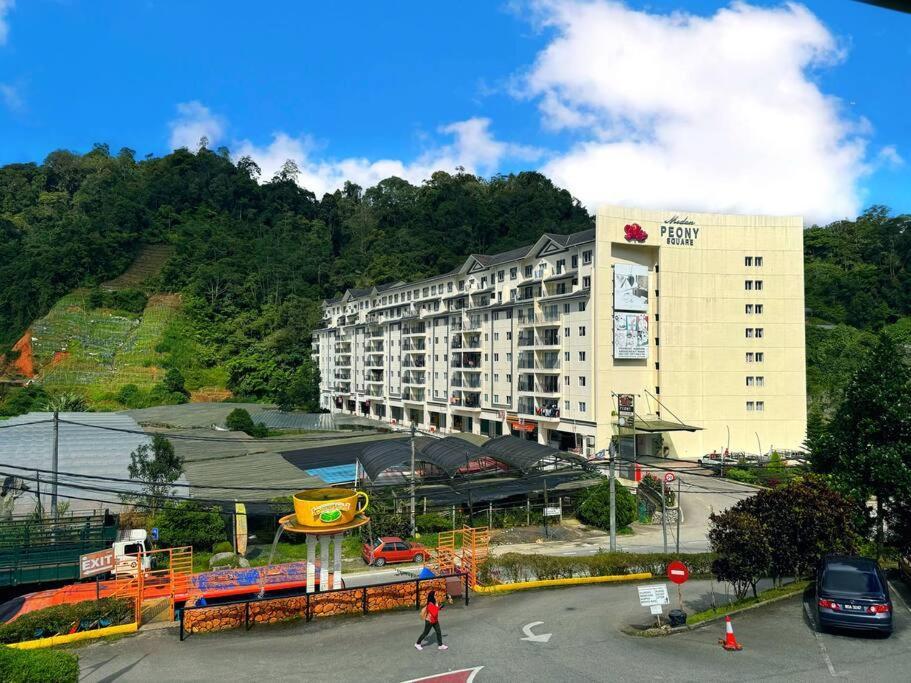 Tea Valley & Farm View At Cool Summer Cameron Pangsapuri *